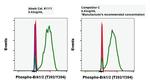 Phospho-ERK1/ERK2 (Thr202, Tyr204) Antibody in Flow Cytometry (Flow)