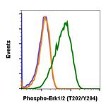 Phospho-ERK1/ERK2 (Thr202, Tyr204) Antibody in Flow Cytometry (Flow)