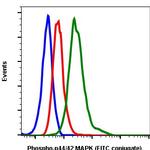 Phospho-ERK1/ERK2 (Thr202, Tyr204) Antibody in Flow Cytometry (Flow)