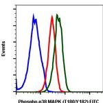 Phospho-p38 MAPK alpha (Thr180, Tyr182) Antibody in Flow Cytometry (Flow)