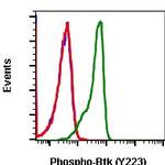 Phospho-Btk (Tyr223) Antibody in Flow Cytometry (Flow)