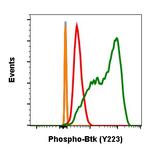 Phospho-Btk (Tyr223) Antibody in Flow Cytometry (Flow)