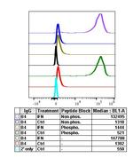 Phospho-Btk (Tyr223) Antibody in Flow Cytometry (Flow)