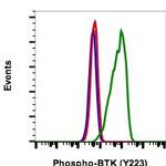 Phospho-Btk (Tyr223) Antibody in Flow Cytometry (Flow)