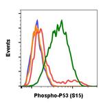 Phospho-p53 (Ser15) Antibody in Flow Cytometry (Flow)