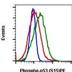 Phospho-p53 (Ser15) Antibody in Flow Cytometry (Flow)