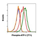 Phospho-ATF2 (Thr71) Antibody in Flow Cytometry (Flow)