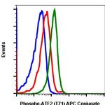 Phospho-ATF2 (Thr71) Antibody in Flow Cytometry (Flow)