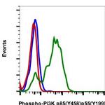 Phospho-PI3K p85/p55 (Tyr458, Tyr199) Antibody in Flow Cytometry (Flow)