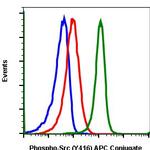 Phospho-Src (Tyr416) Antibody in Flow Cytometry (Flow)