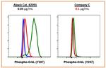 Phospho-CrkL (Tyr207) Antibody in Flow Cytometry (Flow)