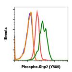 Phospho-Shp2 (Tyr580) Antibody in Flow Cytometry (Flow)