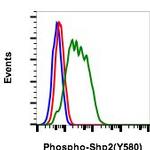 Phospho-Shp2 (Tyr580) Antibody in Flow Cytometry (Flow)