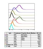 Phospho-NDRG1 (Thr346) Antibody in Flow Cytometry (Flow)