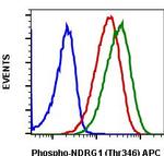 Phospho-NDRG1 (Thr346) Antibody in Flow Cytometry (Flow)