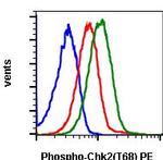 Phospho-Chk2 (Thr68) Antibody in Flow Cytometry (Flow)