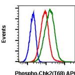 Phospho-Chk2 (Thr68) Antibody in Flow Cytometry (Flow)