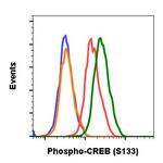 Phospho-CREB (Ser133) Antibody in Flow Cytometry (Flow)