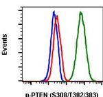 Phospho-PTEN (Ser380, Thr382, Thr383) Antibody in Flow Cytometry (Flow)