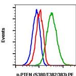 Phospho-PTEN (Ser380, Thr382, Thr383) Antibody in Flow Cytometry (Flow)