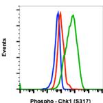 Phospho-Chk1 (Ser317) Antibody in Flow Cytometry (Flow)