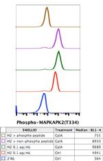 Phospho-MAPKAPK2 (Thr334) Antibody in Flow Cytometry (Flow)