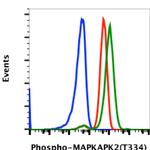 Phospho-MAPKAPK2 (Thr334) Antibody in Flow Cytometry (Flow)