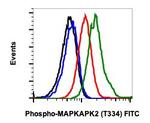 Phospho-MAPKAPK2 (Thr334) Antibody in Flow Cytometry (Flow)