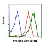 Phospho-Chk1 (Ser345) Antibody in Flow Cytometry (Flow)