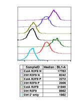 Phospho-Chk1 (Ser345) Antibody in Flow Cytometry (Flow)