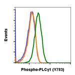 Phospho-PLCg1 (Tyr783) Antibody in Flow Cytometry (Flow)