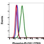 Phospho-PLCg1 (Tyr783) Antibody in Flow Cytometry (Flow)