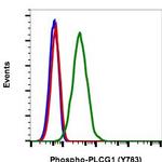 Phospho-PLCg1 (Tyr783) Antibody in Flow Cytometry (Flow)