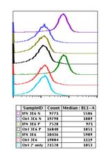 Phospho-Stat1 (Tyr701) Antibody in Flow Cytometry (Flow)