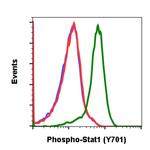 Phospho-Stat1 (Tyr701) Antibody in Flow Cytometry (Flow)