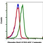 Phospho-Stat1 (Tyr701) Antibody in Flow Cytometry (Flow)