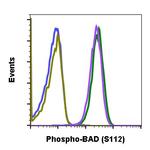 Phospho-BAD (Ser112) Antibody in Flow Cytometry (Flow)