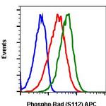 Phospho-BAD (Ser112) Antibody in Flow Cytometry (Flow)