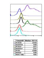 Phospho-Stat5 (Tyr694) Antibody in Flow Cytometry (Flow)