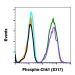 Phospho-Chk1 (Ser317) Antibody in Flow Cytometry (Flow)