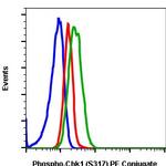 Phospho-Chk1 (Ser317) Antibody in Flow Cytometry (Flow)