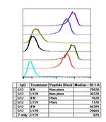 Phospho-Akt1 (Thr308) Antibody in Flow Cytometry (Flow)