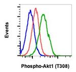 Phospho-Akt1 (Thr308) Antibody in Flow Cytometry (Flow)