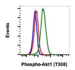 Phospho-Akt1 (Thr308) Antibody in Flow Cytometry (Flow)