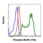 Phospho-BLNK (Tyr84) Antibody in Flow Cytometry (Flow)