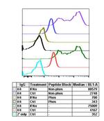 Phospho-BLNK (Tyr84) Antibody in Flow Cytometry (Flow)