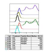 Phospho-c-Cbl (Tyr774) Antibody in Flow Cytometry (Flow)