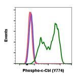 Phospho-c-Cbl (Tyr774) Antibody in Flow Cytometry (Flow)