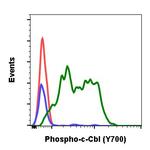 Phospho-c-Cbl (Tyr700) Antibody in Flow Cytometry (Flow)