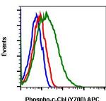 Phospho-c-Cbl (Tyr700) Antibody in Flow Cytometry (Flow)